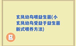 玄凤幼鸟喂益生菌(小玄凤幼鸟受益于益生菌新式喂养方法)