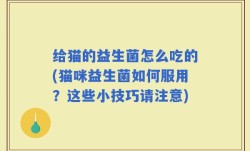 给猫的益生菌怎么吃的(猫咪益生菌如何服用？这些小技巧请注意)
