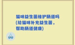 猫咪益生菌维护肠道吗(给猫咪补充益生菌，帮助肠道健康)