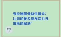 布拉迪酵母益生菌犬：让您的爱犬焕发活力与快乐的秘诀”