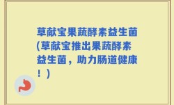 草献宝果蔬酵素益生菌(草献宝推出果蔬酵素益生菌，助力肠道健康！)