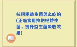 拉粑粑益生菌怎么吃的(正确食用拉粑粑益生菌，提升益生菌吸收效果)