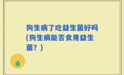 狗生病了吃益生菌好吗(狗生病能否食用益生菌？)