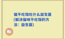 猫不吃饭吃什么益生菌(解决猫咪不吃饭的方法：益生菌)