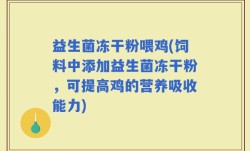 益生菌冻干粉喂鸡(饲料中添加益生菌冻干粉，可提高鸡的营养吸收能力)