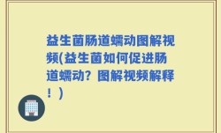 益生菌肠道蠕动图解视频(益生菌如何促进肠道蠕动？图解视频解释！)