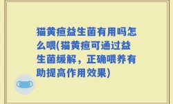 猫黄疸益生菌有用吗怎么喂(猫黄疸可通过益生菌缓解，正确喂养有助提高作用效果)