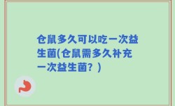 仓鼠多久可以吃一次益生菌(仓鼠需多久补充一次益生菌？)