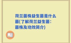 荷兰菌株益生菌是什么菌(了解荷兰益生菌：菌株及功效简介)
