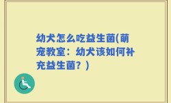 幼犬怎么吃益生菌(萌宠教室：幼犬该如何补充益生菌？)