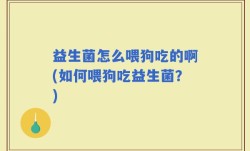 益生菌怎么喂狗吃的啊(如何喂狗吃益生菌？)