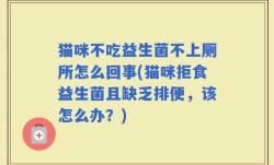 猫咪不吃益生菌不上厕所怎么回事(猫咪拒食益生菌且缺乏排便，该怎么办？)