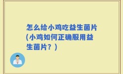 怎么给小鸡吃益生菌片(小鸡如何正确服用益生菌片？)