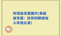 玫瑰益生菌图片(美丽益生菌：给你的肠道加入玫瑰元素)