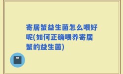 寄居蟹益生菌怎么喂好呢(如何正确喂养寄居蟹的益生菌)