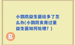 小鹦鹉益生菌给多了怎么办(小鹦鹉食用过量益生菌如何处理？)