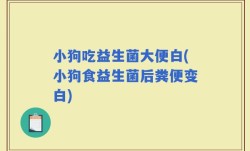 小狗吃益生菌大便白(小狗食益生菌后粪便变白)