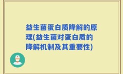 益生菌蛋白质降解的原理(益生菌对蛋白质的降解机制及其重要性)
