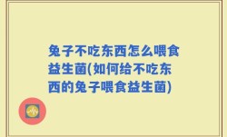 兔子不吃东西怎么喂食益生菌(如何给不吃东西的兔子喂食益生菌)