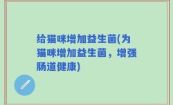 给猫咪增加益生菌(为猫咪增加益生菌，增强肠道健康)