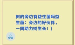 树的旁边有益生菌吗益生菌：旁边的好伙伴，一同助力树生长！)