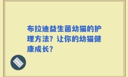 布拉迪益生菌幼猫的护理方法？让你的幼猫健康成长？
