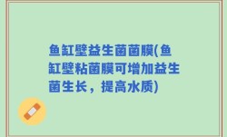 鱼缸壁益生菌菌膜(鱼缸壁粘菌膜可增加益生菌生长，提高水质)