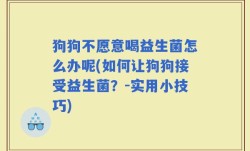 狗狗不愿意喝益生菌怎么办呢(如何让狗狗接受益生菌？-实用小技巧)