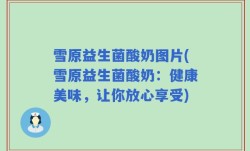 雪原益生菌酸奶图片(雪原益生菌酸奶：健康美味，让你放心享受)