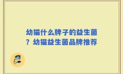 幼猫什么牌子的益生菌？幼猫益生菌品牌推荐