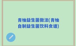 青柚益生菌做法(青柚自制益生菌饮料食谱)