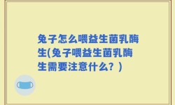 兔子怎么喂益生菌乳酶生(兔子喂益生菌乳酶生需要注意什么？)