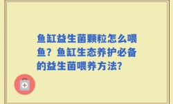 鱼缸益生菌颗粒怎么喂鱼？鱼缸生态养护必备的益生菌喂养方法？