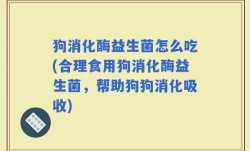 狗消化酶益生菌怎么吃(合理食用狗消化酶益生菌，帮助狗狗消化吸收)