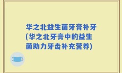 华之北益生菌牙膏补牙(华之北牙膏中的益生菌助力牙齿补充营养)