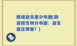 肠道益生菌分布图(肠道微生物分布图：益生菌在哪里？)
