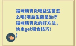 猫咪肠胃炎喂益生菌怎么喂(喂益生菌是治疗猫咪肠胃炎的好方法，快来get喂食技巧！)