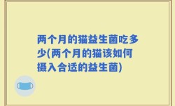 两个月的猫益生菌吃多少(两个月的猫该如何摄入合适的益生菌)