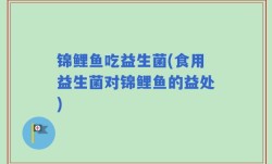 锦鲤鱼吃益生菌(食用益生菌对锦鲤鱼的益处)