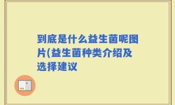 到底是什么益生菌呢图片(益生菌种类介绍及选择建议