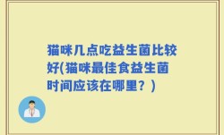 猫咪几点吃益生菌比较好(猫咪最佳食益生菌时间应该在哪里？)