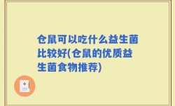 仓鼠可以吃什么益生菌比较好(仓鼠的优质益生菌食物推荐)