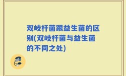 双岐杆菌跟益生菌的区别(双岐杆菌与益生菌的不同之处)