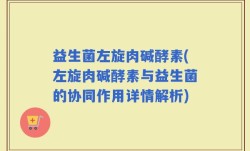 益生菌左旋肉碱酵素(左旋肉碱酵素与益生菌的协同作用详情解析)