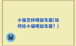 小猫怎样喂益生菌(如何给小猫喂益生菌？)