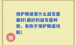 保护肠道是什么益生菌最好(最好的益生菌种类，有助于保护肠道功能)