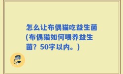 怎么让布偶猫吃益生菌(布偶猫如何喂养益生菌？)