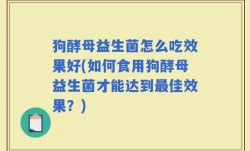 狗酵母益生菌怎么吃效果好(如何食用狗酵母益生菌才能达到最佳效果？)