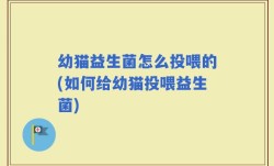 幼猫益生菌怎么投喂的(如何给幼猫投喂益生菌)