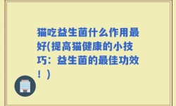 猫吃益生菌什么作用最好(提高猫健康的小技巧：益生菌的最佳功效！)